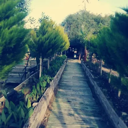 Patara Green Park Luxury tent Karadere (Aegean)