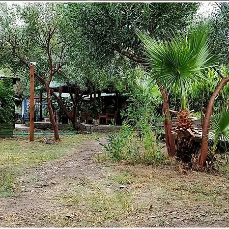 Patara Green Park