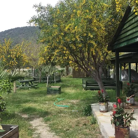 Patara Green Park Роскошный шатер *