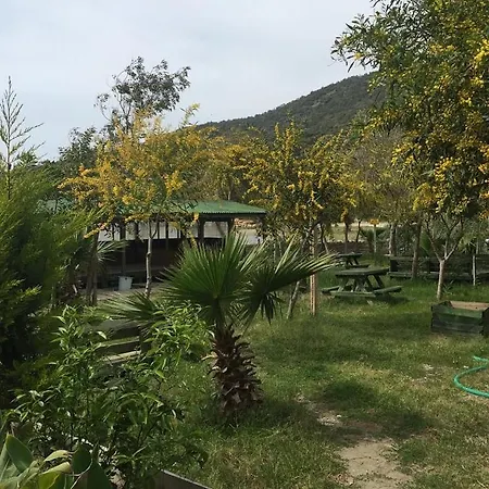 Patara Green Park