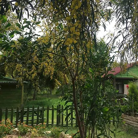 Patara Green Park Роскошный шатер *